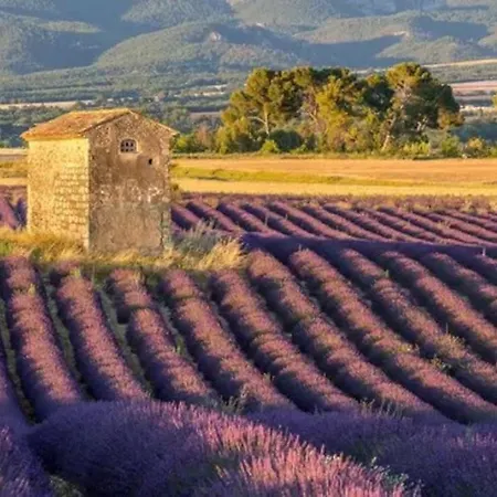 Maison De Village Avec Terrasse *